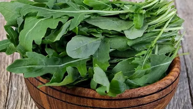 حزمة جرجير داخل وعاء