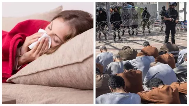 نشرة التوك شو