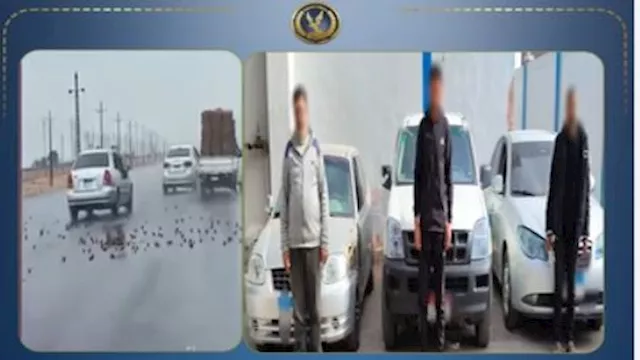 مشاجرة تتحول لمطاردة مثيرة على طريق بالإسماعيلية ب