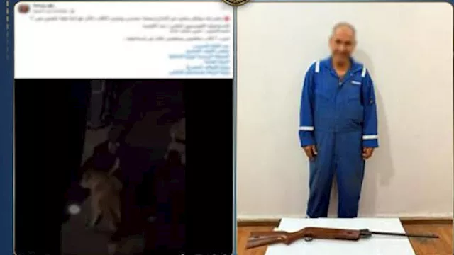 ضبط شخص تعدّى على كلاب ضالة بسلاح رش