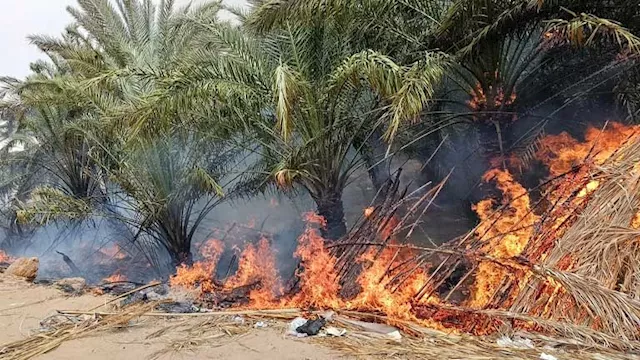حريق بمزارع نخيل - أرشيفية