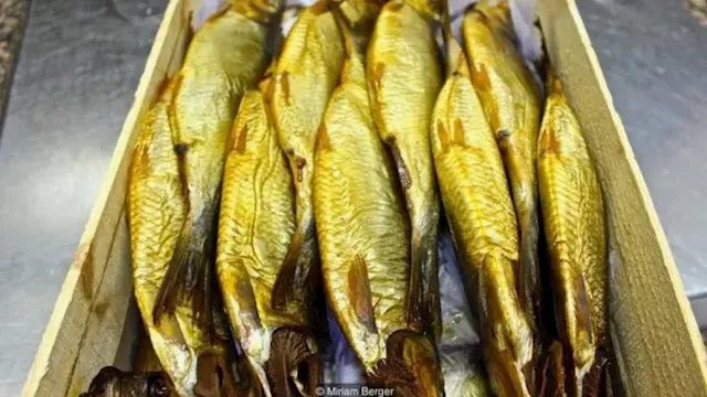 ضبط 14 طن أسماك مدخنة مجهولة المصدر