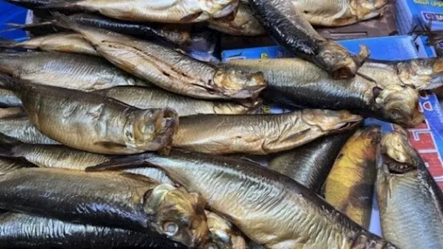 أسعار الفسيخ والرنجة 