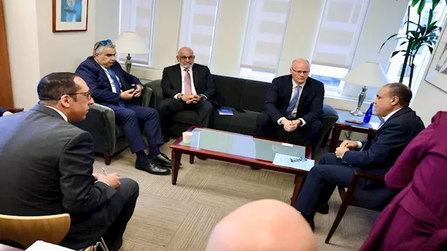 الدكتور بدر عبد العاطي يلتقي الوفد الفلسطيني في وا