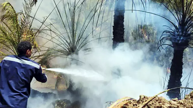 اعمال تبريد حريق مزرعة نخيل بقرية العوينة بمركز ال