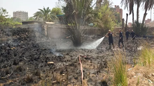 إخماد حريق ضخم بأرض المحلج في ببا ببني سويف