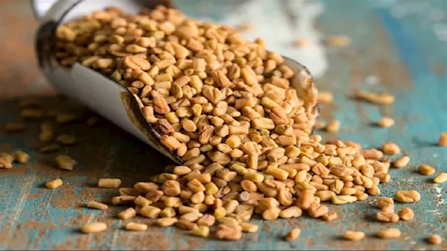 الحلبة الحصى