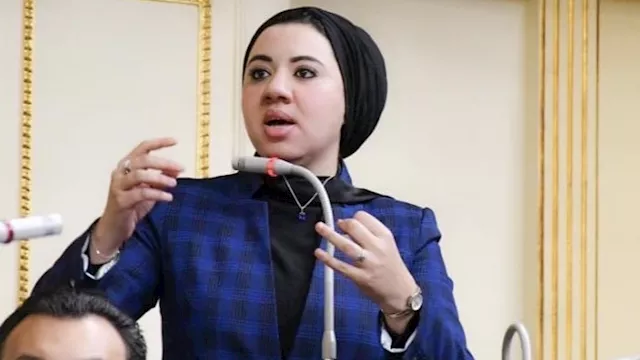 النائبة أميرة صابر قنديل
