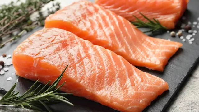 سمك السلمون 