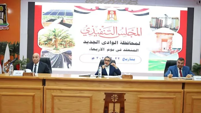 حنان مجدي تترأس تنفيذي الوادي الجديد