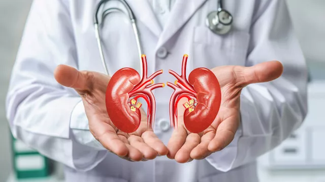 صحى الكلى