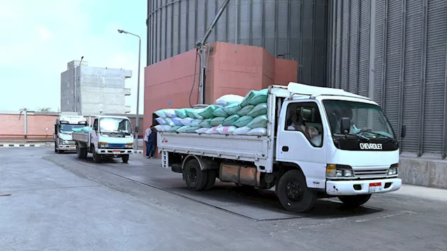 توريد القمح بالبحيرة