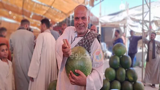 البطيخ الصيفي 
