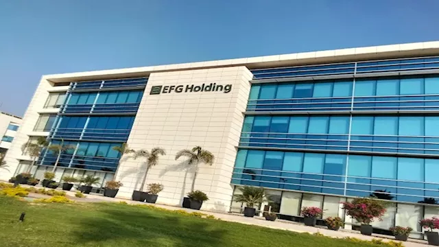 شركة إي اف چي للحلول التمويلية