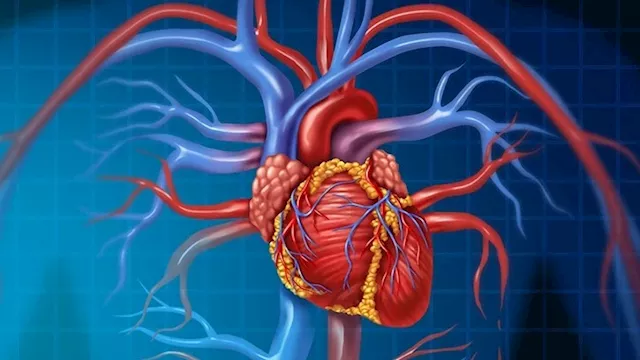 صحة القلب
