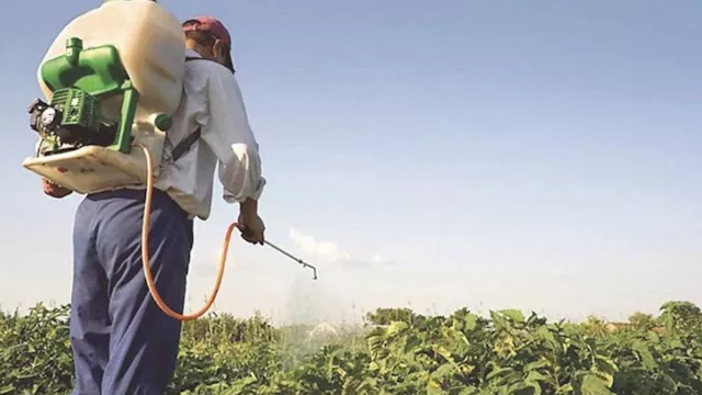 الزراعة تحذر من كتب مزيفة لمكافحة الآفات الزراعية 