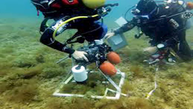 كارثة بيئية تهدد إسرائيل