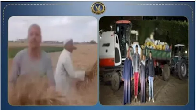 سقوط المتهم بسرقة محصول القمح بجرار وماكينة حصاد ف