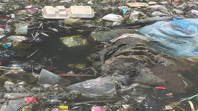 الأمن يكشف حقيقة جوال طحانوب فى القليوبية