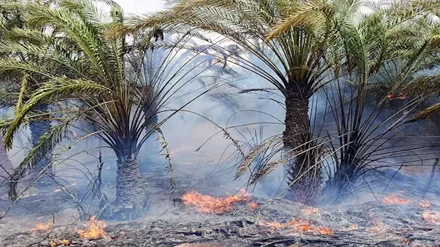 اندلاع حريق بمزرعة بالداخلة