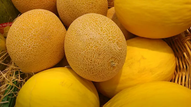 الشمام 