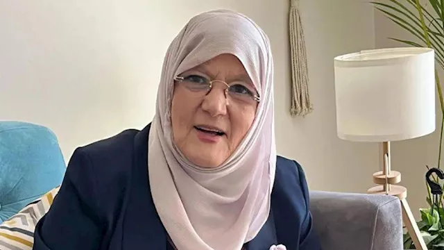 شمس البارودي