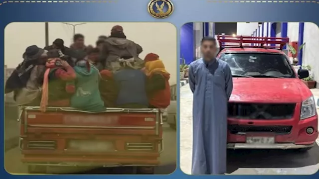 سائق ربع نقل يسمح للعمال بالجلوس في الصندوق 