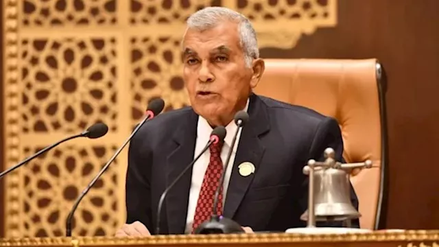 عصام فريد رئيس مجلس الشيوخ