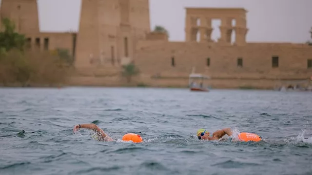 السباحين أمام معبد فيلة