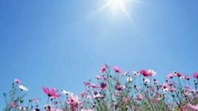 المناخ -ارشيفيه