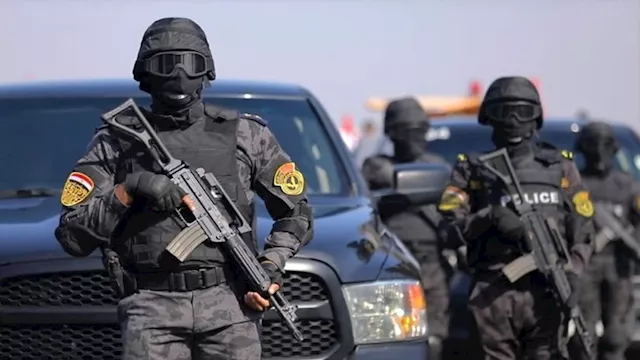 الشرطة المصرية