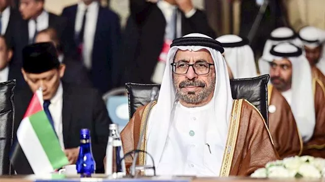 وزير الدولة الإماراتي خليفة شاهين المرر