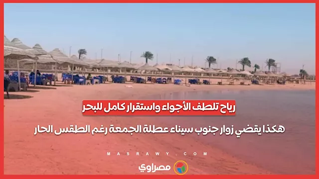 سيسييس
