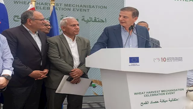 علاء فاروق
