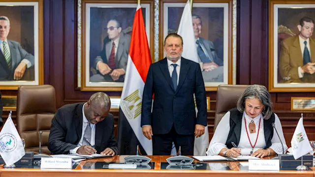  حسن عبد الله محافظ البنك المركزي المصري