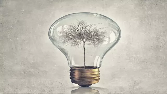 فاتورة الكهرباء