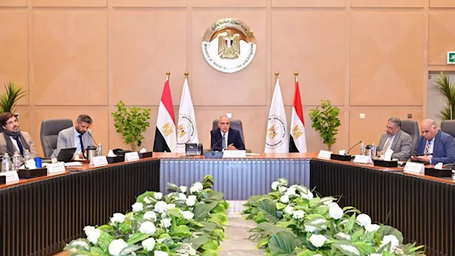 لقاء وزير الري بشركاء التنمية الدوليين