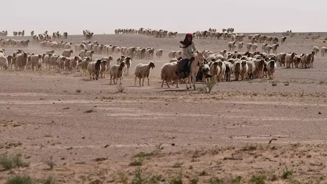صحراء العراق