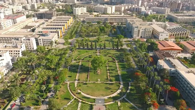 جامعة المنصورة
