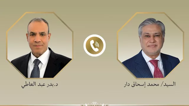 وزيرا خارجية باكستان ومصر