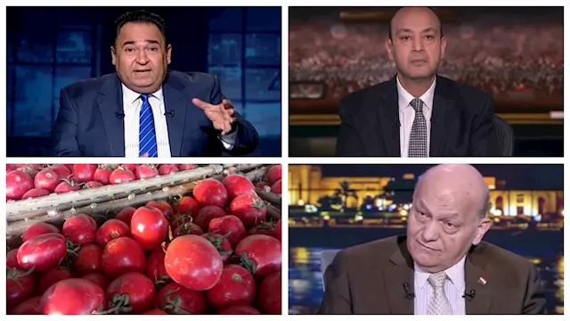 أهم ما جاء ببرامج التوك شو