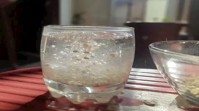 ماء الشعير