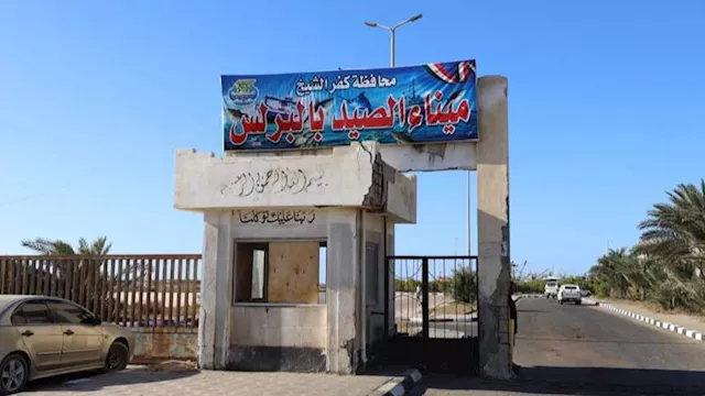 ميناء البرلس