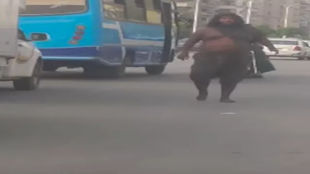 الشرطة تضبط شخص  يثير الذعر في مصر الجديدة
