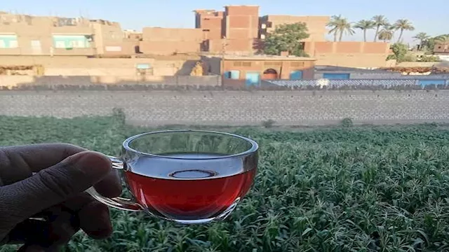 كوب شاي