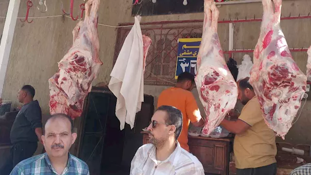 منفذ بيع اللحوم البلدية قبل عيد الأضحى بالبحيرة