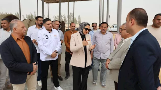 حنان مجدي محافظة الوادي الجديد