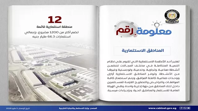 الاستثمار