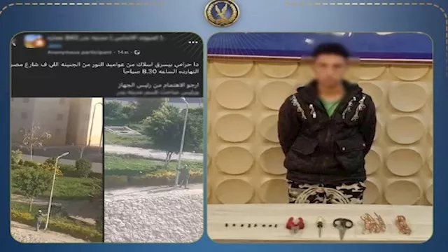 المتهم بسرقة الأسلاك الكهربائية