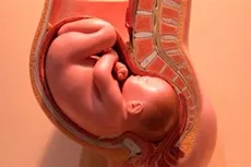 ما يجب أن تعرفه السيدات الحوامل عن صحة عنق الرحم؟